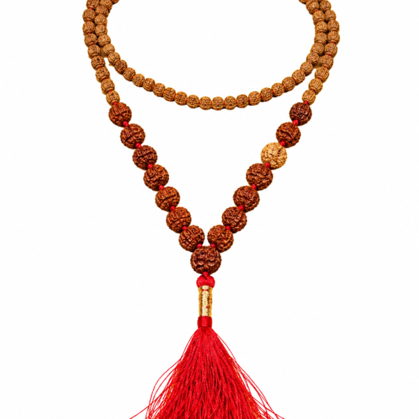 1 - 14 Mukhi Siddha Rudraksha Mala
