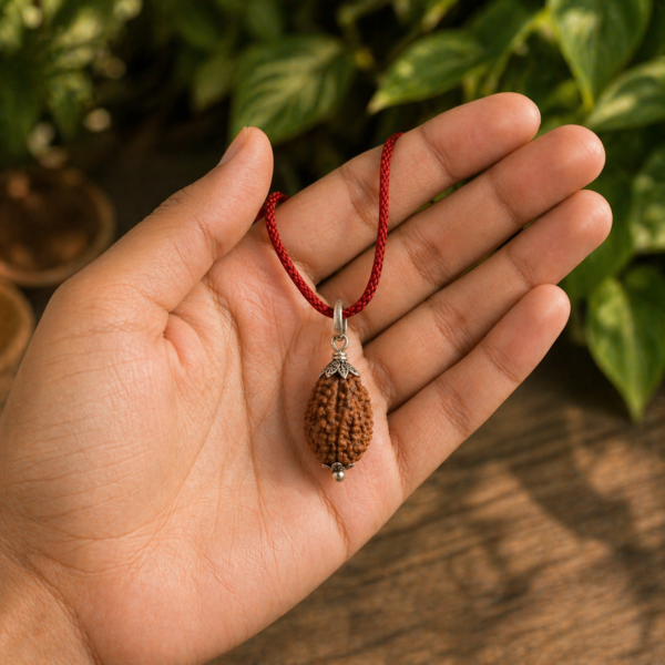 1 Mukhi Nepali Rudraksha (Ek Mukhi)